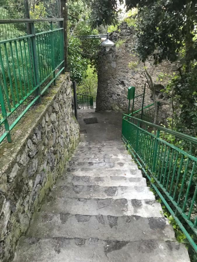 Maison Rosa Positano Esterno foto