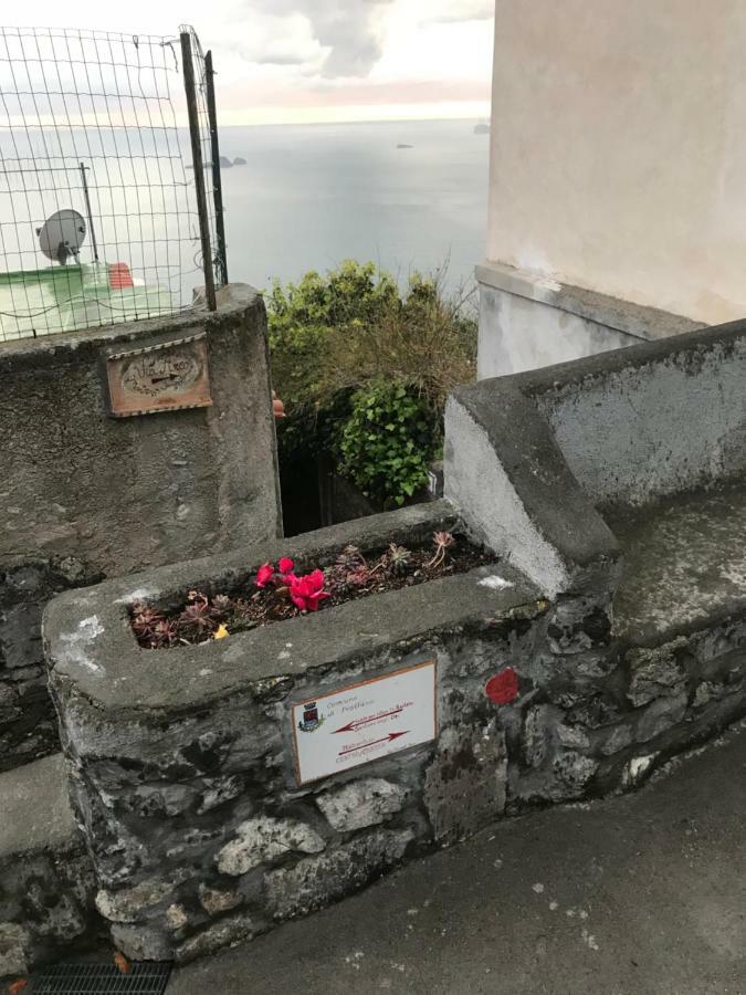 Maison Rosa Positano Esterno foto